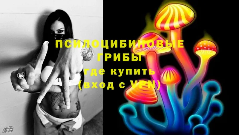 Псилоцибиновые грибы GOLDEN TEACHER Лосино-Петровский